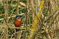 19 03 15_2508_edited-1